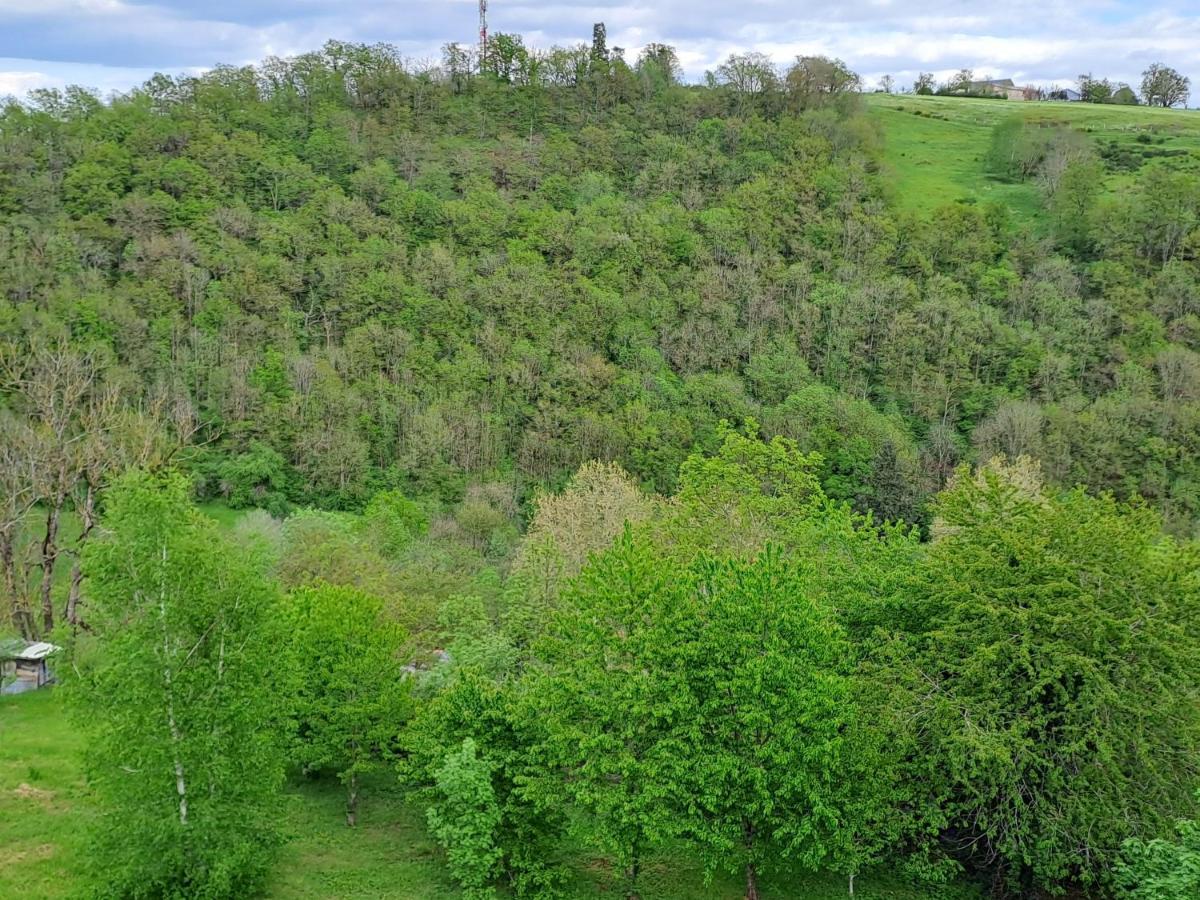 Agreable T2 Classe 3 Etoiles, Refait A Neuf, Dans Quartier Calme Rodez Bagian luar foto